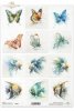 motyl, akwarela, złota rybka, skalar, ryby*butterfly, watercolor, goldfish, angelfish, fish*butterfly, watercolor, goldfish, angelfish, fis